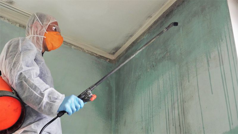 Attic Mold Removal in Bergen County, NJ