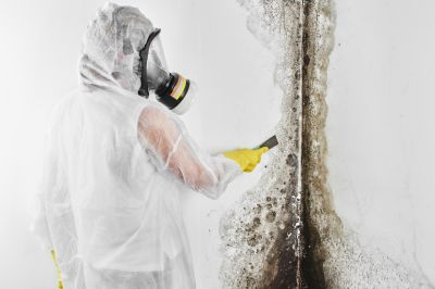 Basement Mold Removal in Frisco, TX
