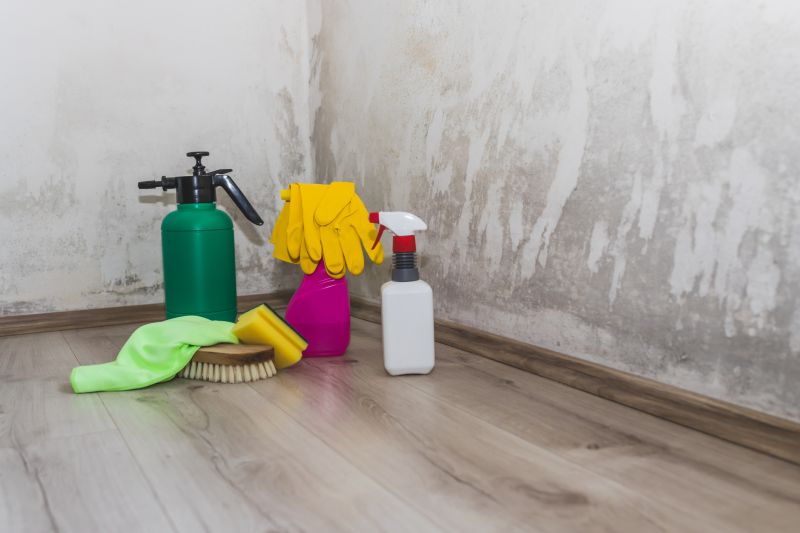 Black Mold Remediation in Essex County, NJ