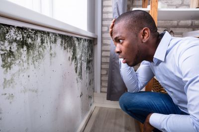 Black Mold Removal in Boynton Beach, FL
