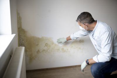 Crawlspace Mold Remediation in West Palm Beach, FL