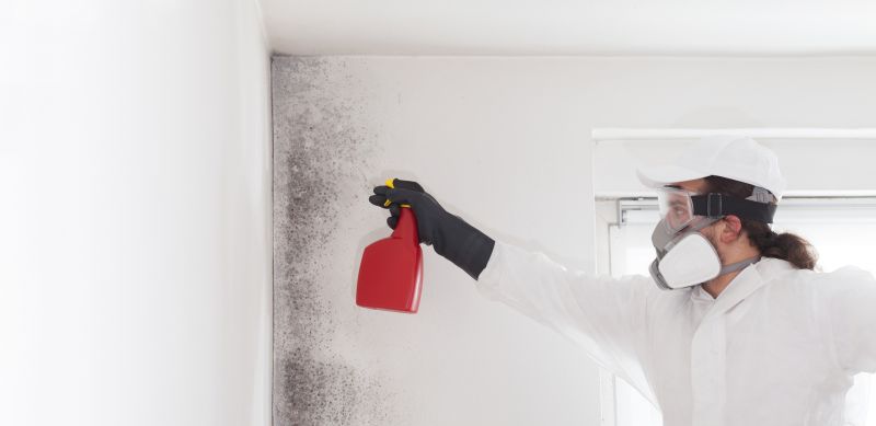 Crawlspace Mold Remediation in Essex County, NJ
