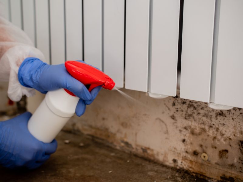 Basement Mold Removal in Bergen County, NJ