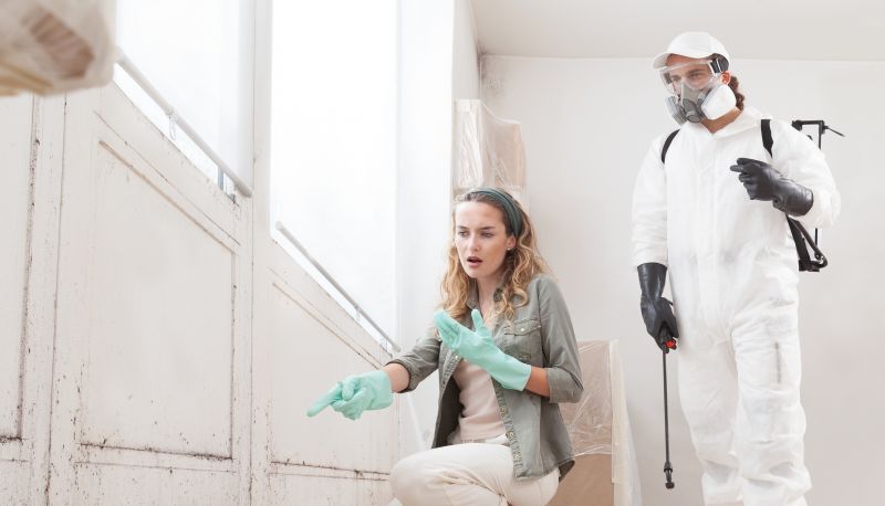 Garage Mold Remediation in Frisco, TX