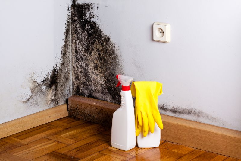 Mold Removal - Mold Removal Plano, Texas